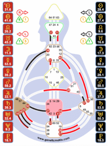 exemple de carte de human design